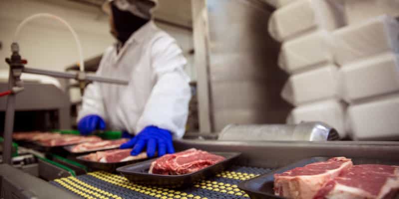 Tesco Food Manufacturing Standard (TFMS) -  Pest Control