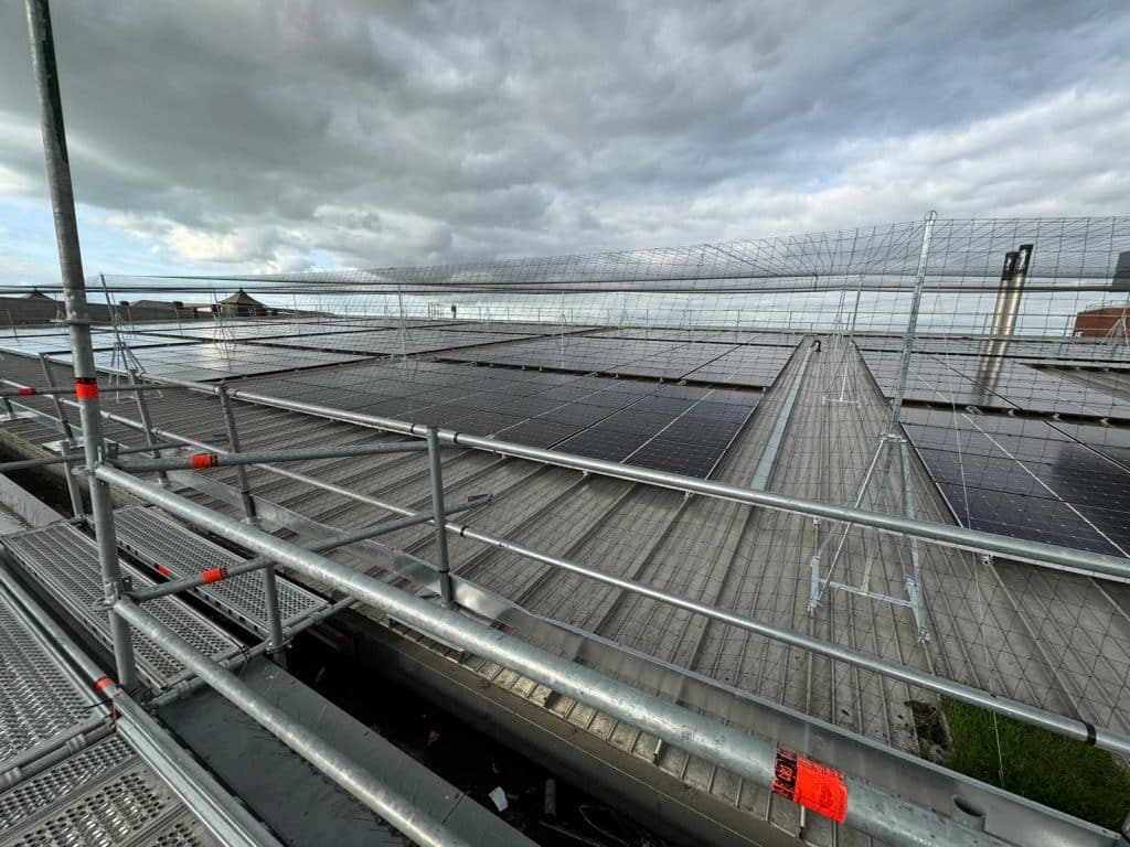 Bird Control Hatch Warren | Pest Solutions