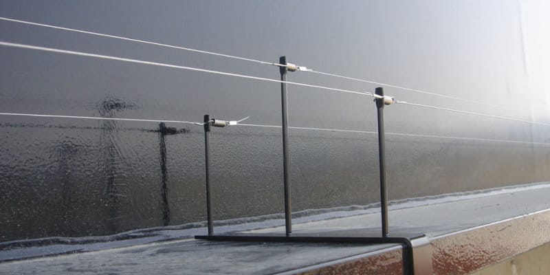 Bird Wire Systems - Pest Solutions - Pest Bird Control Glasgow