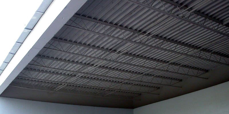 Pest Bird Control For Canopies - Pest Solutions - Pest Bird Control Glasgow