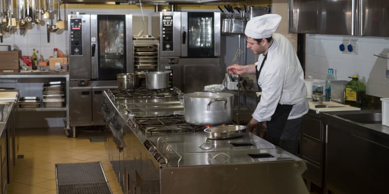 Pest Control Contracts Glasgow - Pest Solutions - Pest Prevention